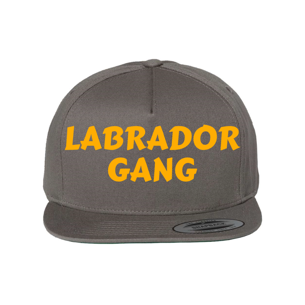 Custom Labrador Gang Snapback Hat