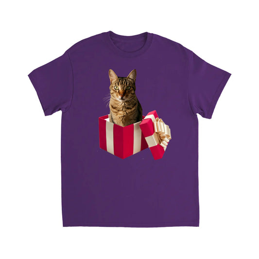 CAT GIFT BOX T SHIRT