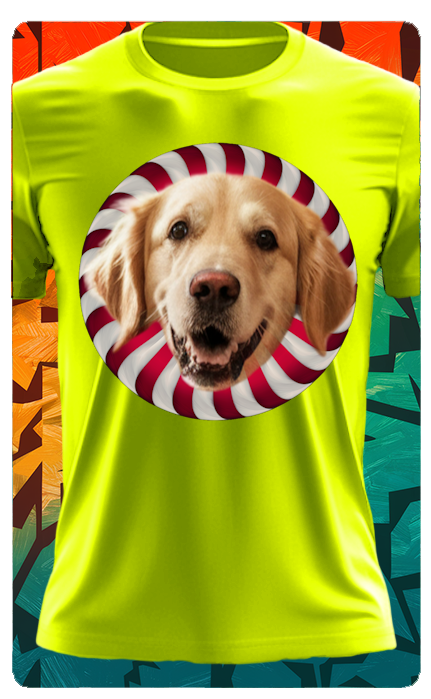 STRIPED CIRCLE PET T SHIRT