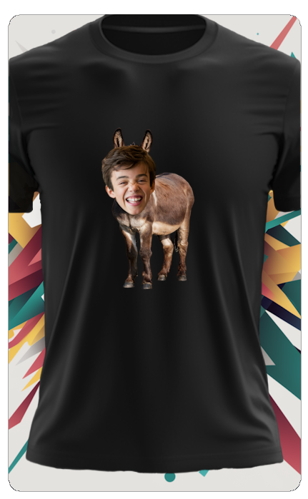 DONKEY T SHIRT