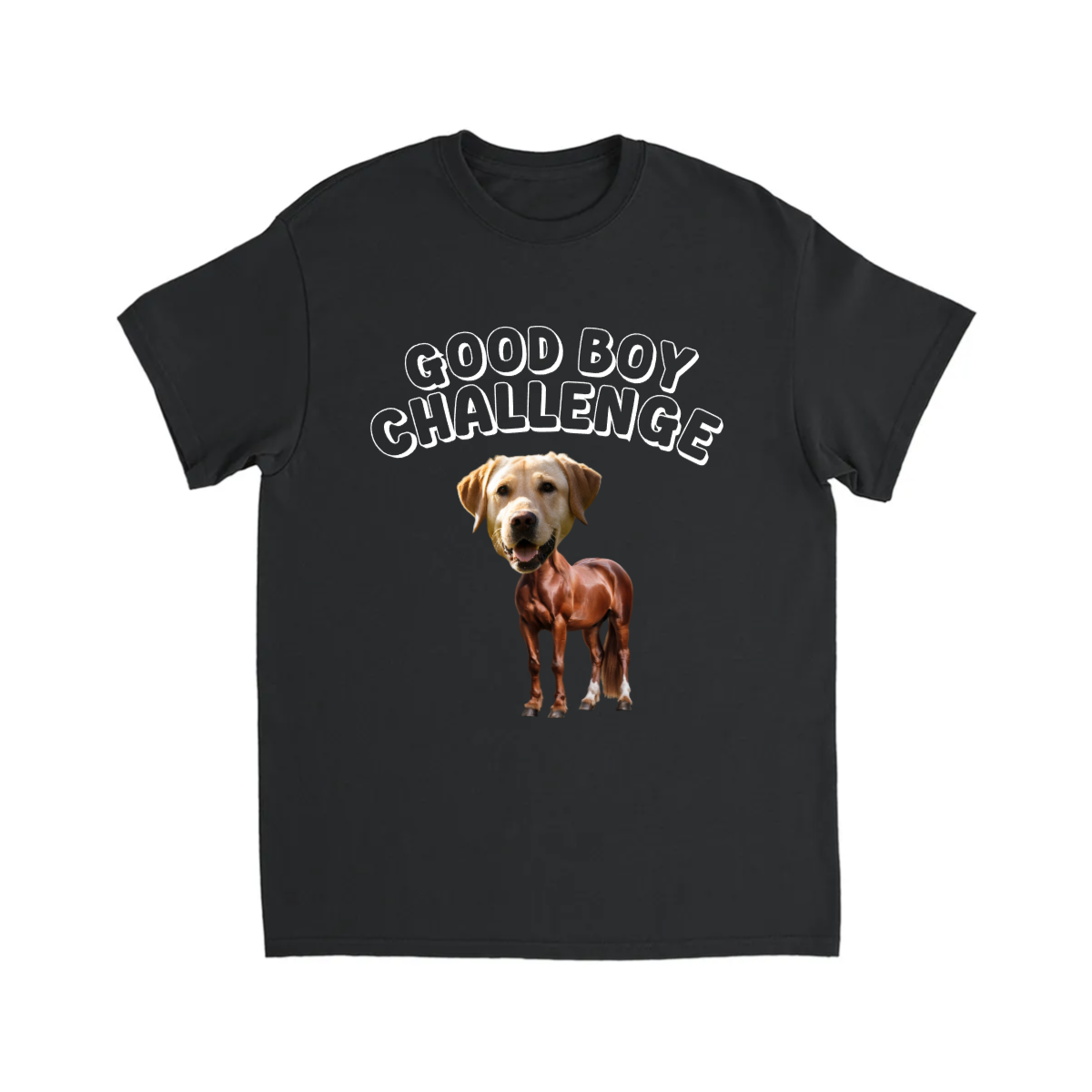 CUSTOM GOOD BOY CHALLENGE T-SHIRT