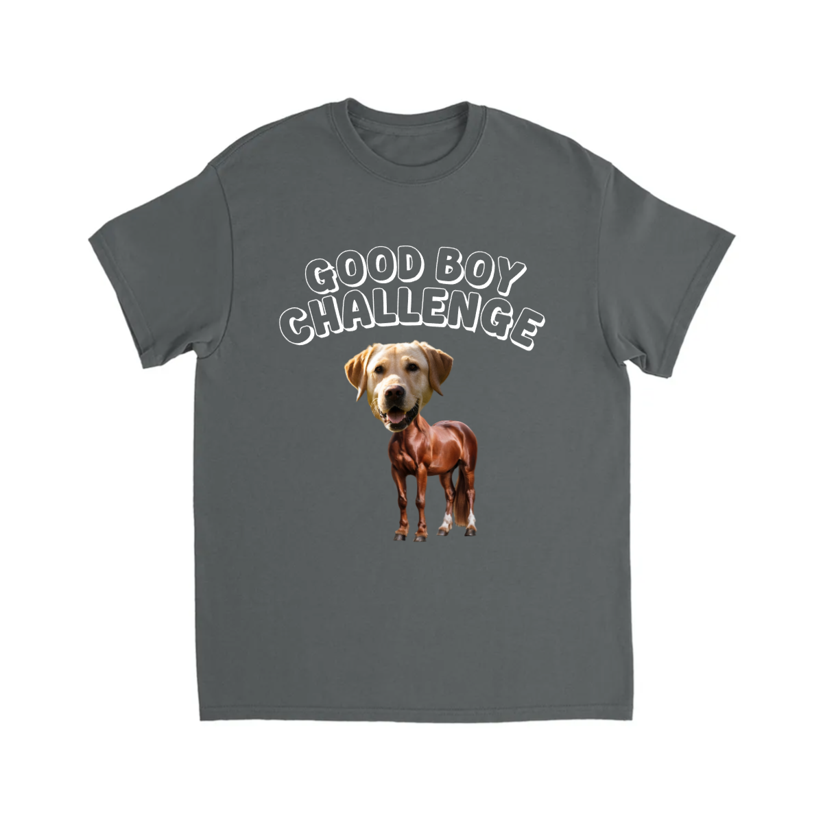 CUSTOM GOOD BOY CHALLENGE T-SHIRT