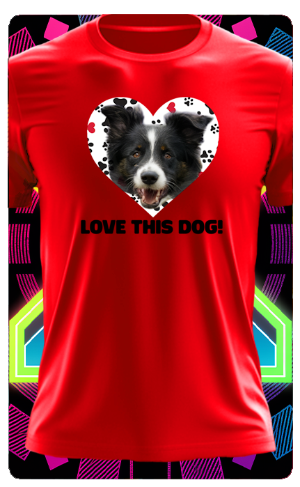 DOG IN HEART T SHIRT (PAW HEART)